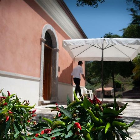 Villa Tecla Capri Leone Exteriör bild