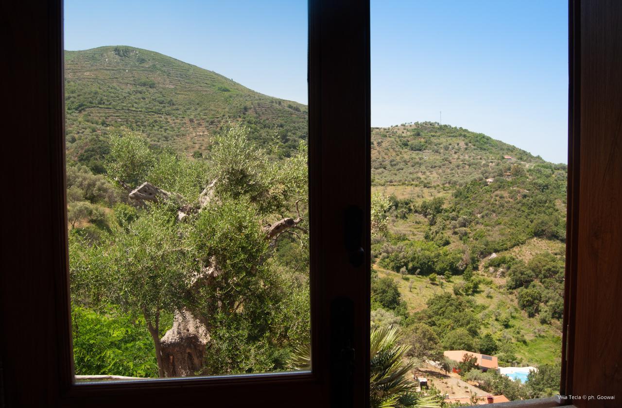 Villa Tecla Capri Leone Exteriör bild