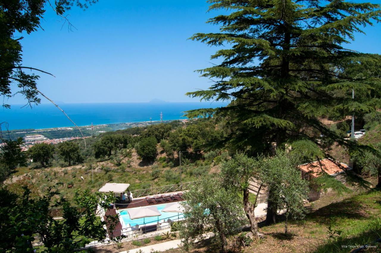 Villa Tecla Capri Leone Exteriör bild